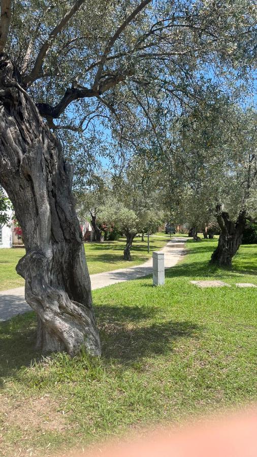 L'Isola Dei Vacanzieri Сант-Андреа-Апостоло-делло-Йонио Экстерьер фото
